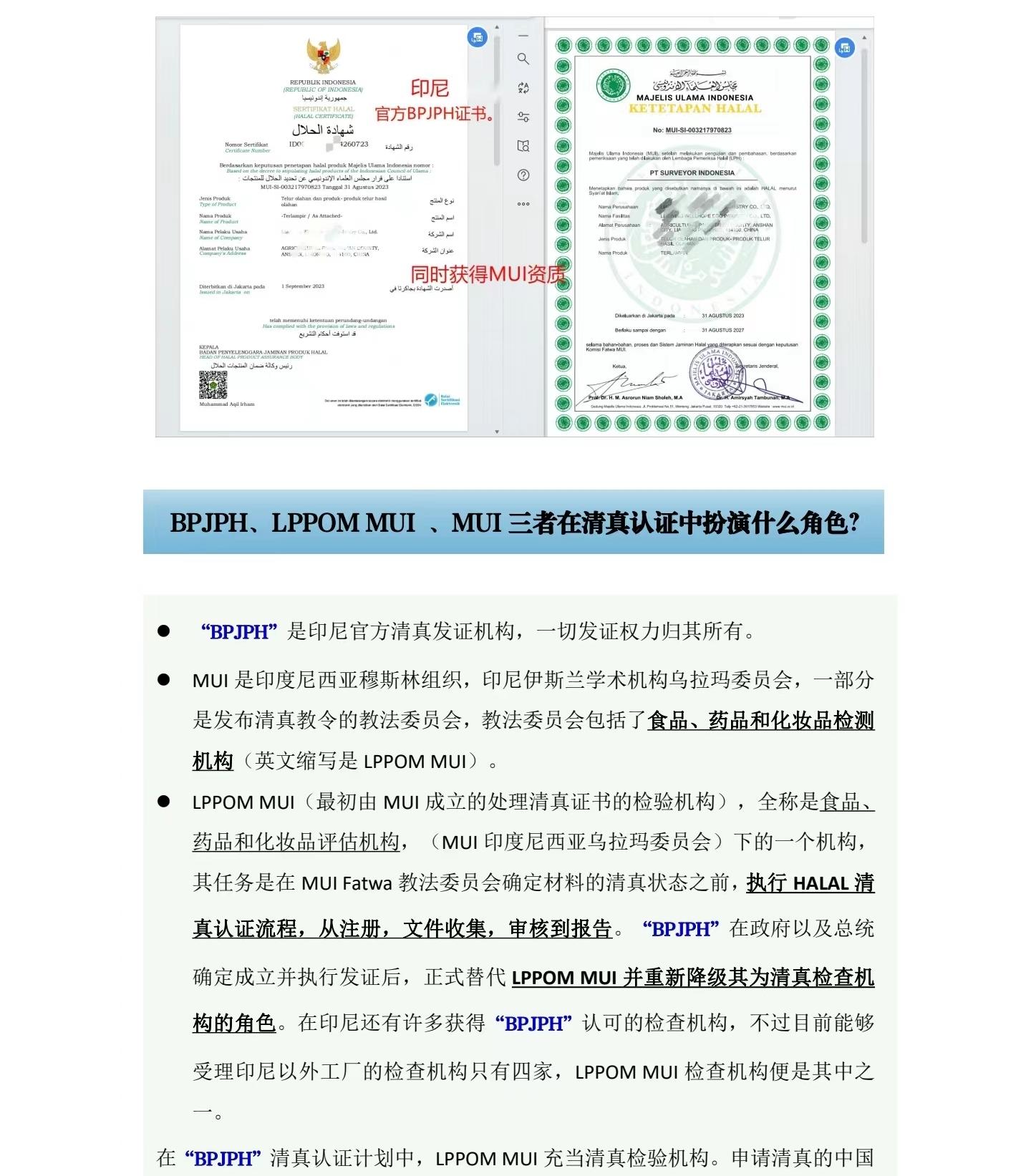 老澳门2024免费原料网